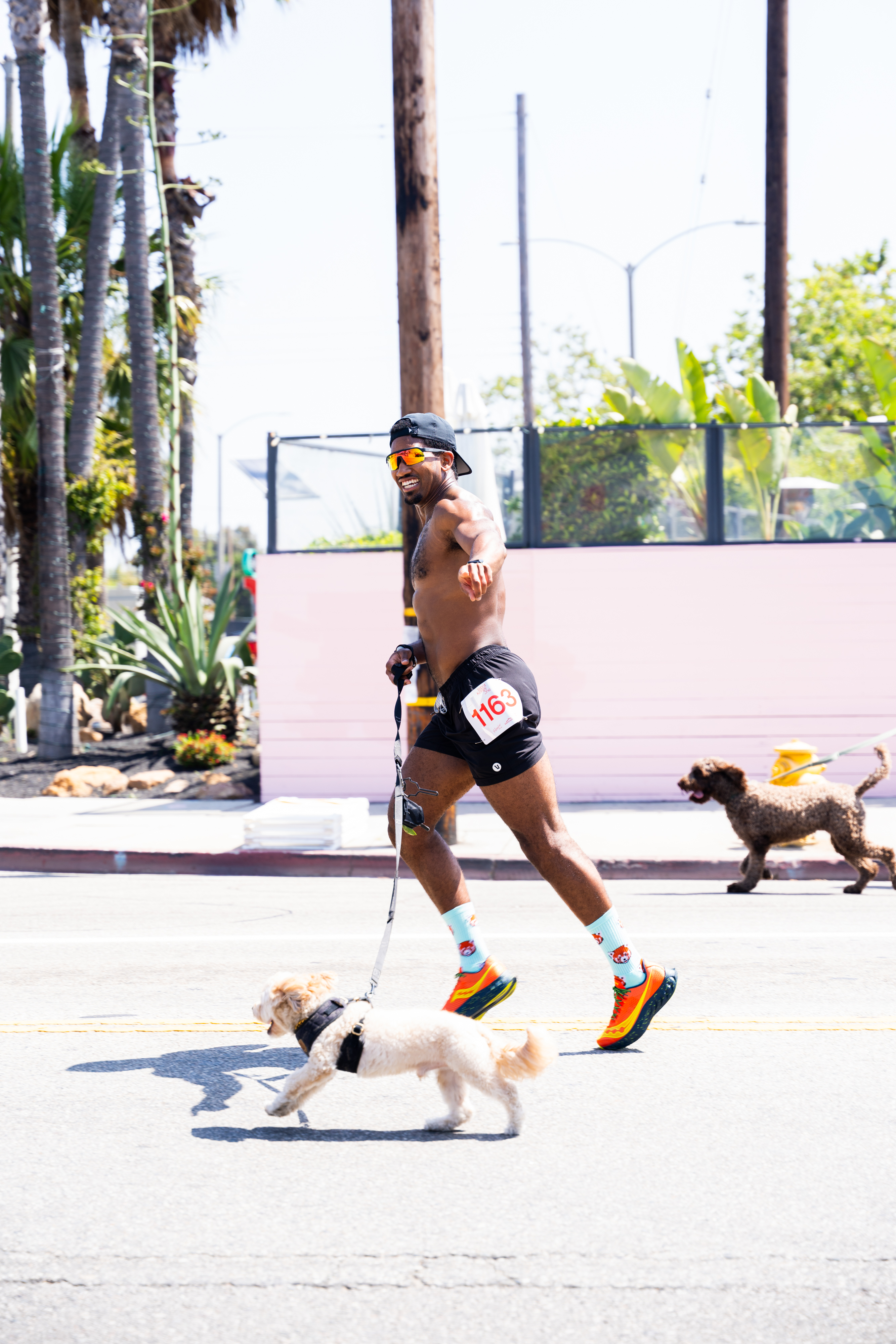 Justyn Williams — Dog Mile with Sage